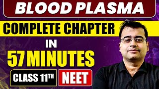 BLOOD PLASMA in 57 Minutes  Part  1  Class 11 NEET [upl. by Lleznol]