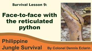 Survival Lesson 9 Reticulated Python o Sawa The Philippines Apex Predator [upl. by Bartle744]