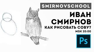 КАК НАРИСОВАТЬ СОВУ Урок рисования от Smirnov School [upl. by Trojan]