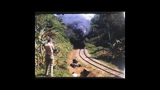 This Train Jamaicas rail system in the 1960s [upl. by Kelton17]