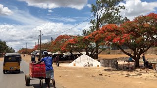 Kreuzfahrt Indischer Ozean Madagaskar Antsiranana [upl. by Aimekahs]