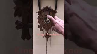 cuckoo clock repair Thane [upl. by Cassilda51]