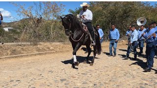 Cabalgata San Felipe de Híjar Jalisco 03 febrero 2024 [upl. by Lukin]