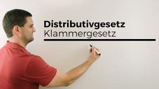 Distributivgesetz Klammergesetz Ausmultiplizieren wichtige Regeln  Mathe by Daniel Jung [upl. by Aicekal]