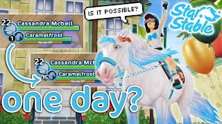 MAX YOUR HORSE In ONE DAY  Star Stable [upl. by Nitsej]