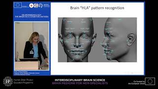 Lecture 2 Anat Achiron  Neuroimmunology The brain as a cognitive antigen [upl. by Nahem304]