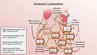 Intro to EKG Interpretation  Myocardial Infarctions Part 1 of 2 [upl. by Wendolyn]