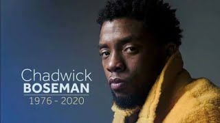 Chadwick Boseman Tribute amp FuneralFinal Tribute [upl. by Aivatnahs]