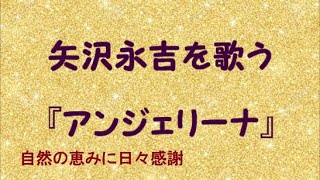 『アンジェリーナ』／矢沢永吉を歌う410 by 自然の恵みに日々感謝 [upl. by Rbma]