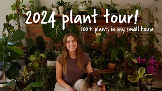 Houseplant tour 2024 Over 100 rare and common plants in my small house [upl. by Felicidad]