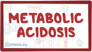 Metabolic acidosis  causes symptoms diagnosis treatment pathology [upl. by Eilis801]