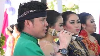 Langgam Jawa Paling Joss Sindene Ayu Mlenuk Kabeh Sedap Dipandang  Dimas Tedjo Campursari Revansa [upl. by Janot823]