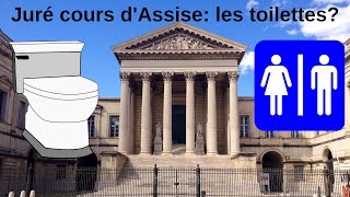 Juré de Cours dAssise comment ça se passe pour aller aux toilettes pendant le procès pipi caca [upl. by Olracnaig337]