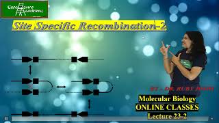 Site Specific Recombination Lecture232Online Class Mol Bio Conservative SSR CSIR [upl. by Nyrtak]