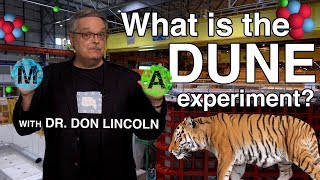 What is the DUNE experiment [upl. by Neellek]