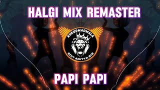 HALGI MIX REMASTER X PAPI PAPI   DJ SACHIN SDT [upl. by Donella231]