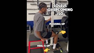 Achilles Tendon Loading physicaltherapy physio achilles [upl. by Eahsram]