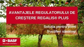 Regulatorul de creștere Regalis® Plus 13 BENEFICII pentru livada ta [upl. by Animaj]