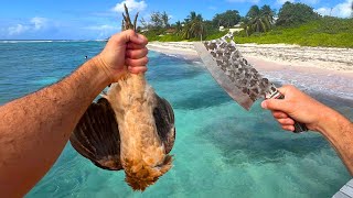 Catching Butchering amp Cooking a WILD CHICKEN on the Beach [upl. by Enelahs]