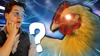 L Incroyable Intelligence Des Poules [upl. by Ecallaw866]