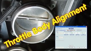 How to do the Throttle Body Alignment with VCDS [upl. by Daffi]