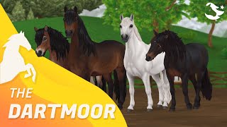 The Dartmoor Pony ✨  Star Stable Horses [upl. by Aknayirp]