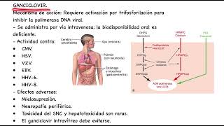 Farmacología básica agentes antivirales parte I 22 [upl. by Reisch]