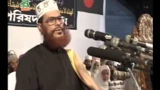 Bangla Jahannamer Voyabahota by Allama Delwar Hussain Sayeedi [upl. by Alaric]