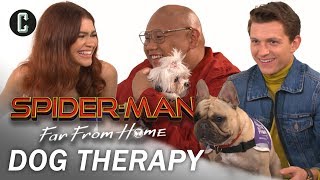 Tom Holland Zendaya and Jacob Batalon Play with Therapy Dogs [upl. by Nyrahs263]