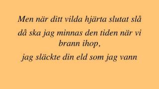 Stiftelsen  Vildhjärta lyrics [upl. by Aihcsrop]