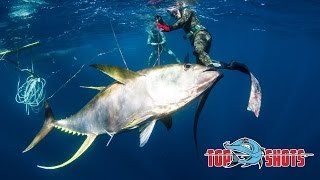 Spearfishing 100Kg Yellowfin Tuna [upl. by Villiers]