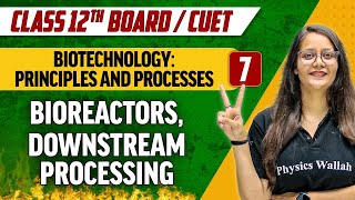 BiotechnologyPrinciples and Processes 07 Bioreactors Downstream Processing  Class 12thCUET [upl. by Henricks]