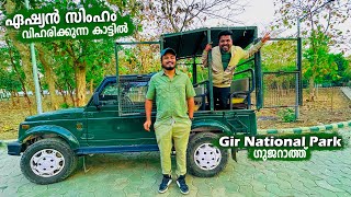 EP 67  ഏഷ്യൻ സിംഹങ്ങളെ കാണാൻ ഞങ്ങൾ ഗുജറാത്തിൽ  Gir National Park [upl. by Cyril]