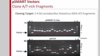 Webinar Clone the Unclonable  Vectors and Cells to Capture amp Express Problematic DNAs [upl. by Amice]