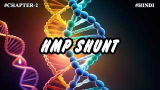 Chapter 2  Metabolism Of Carbohydrates Part11  HMP Shunt [upl. by Leavelle]