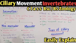 Ciliary Movement And its Types  Locomotion  Movement  Class Bsc Zoology [upl. by Nyrraf]