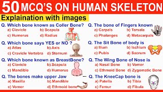 MCQ on Human Skeleton System  MCQS Quiz on Skeleton  Bones  Mcq on skeletal system aiims [upl. by Eimat]