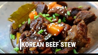 KOREAN BEEF STEW  EASY RECIPE [upl. by Yllah]