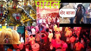 शेर बाजा Payal dhumal GONDIA तबाही शेर धुन और डांस 9960096024 [upl. by Carnahan848]