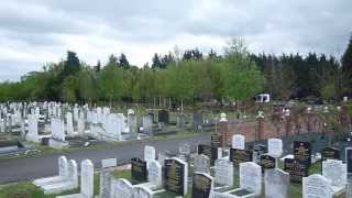 Amy Winehouses Gravestone Edgware Jewish Cemetry Edgware [upl. by Jacinda]