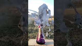 Elephant Toothpaste Chemical Reaction 👀💜🐘 [upl. by Anael]