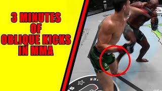 3 Minutes of Oblique Kicks in MMA  Wonder Fighting [upl. by Vassell630]