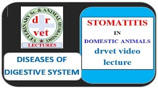 Stomatitis in Animals  video by drvet [upl. by Esadnac]