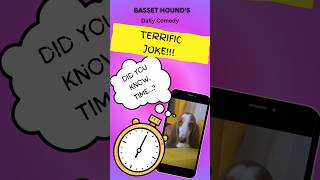 Terrific Time joke from Basset Hounds daily comedy Hilarious 😂 😃 [upl. by Fondea]