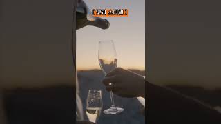 스파클링와인 샴페인 와인 Wine Sparkling Wine Champagne🍇 🥂 Amazing Wine 037 [upl. by Anertac17]