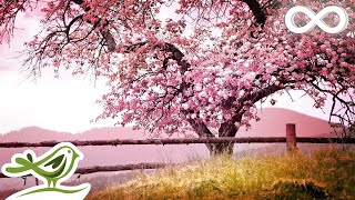 Relaxing Piano Music Romantic Music Beautiful Relaxing Music Sleep Music Stress Relief ★122 [upl. by Aisatal]