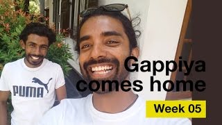 Gappiya Comes Home  Fifth Week [upl. by Ailedo267]