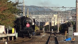 初秋の梅小路蒸気機関車館、C62とC56の競演 20141024 [upl. by Birgit]