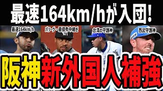 【最速164kmhが入団！】阪神新外国人ハビー・ゲラ選手の解説amp今オフ獲得するべき外国人助っ人候補を紹介！ [upl. by Hussar126]