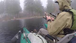 Beaver Lake Broodstock Rainbow Trout October 2017 [upl. by Sicular161]